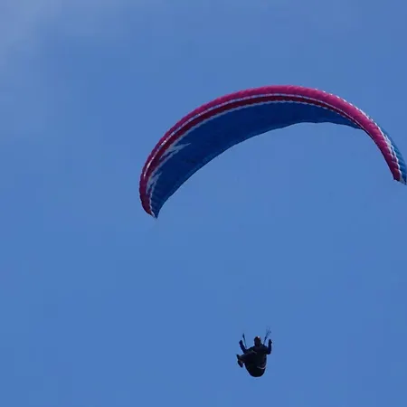 Apartament At The Linden Tree *