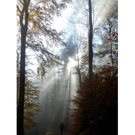 At The Linden Tree Apartament *