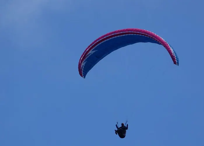 Apartament At The Linden Tree *