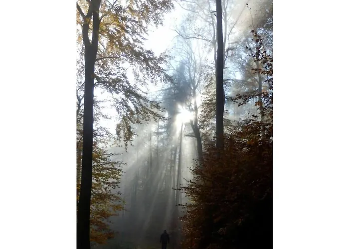 At The Linden Tree Apartament *